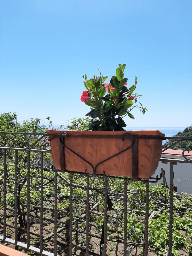Ferienwohnung Casa Almary Amalfi Exterior foto